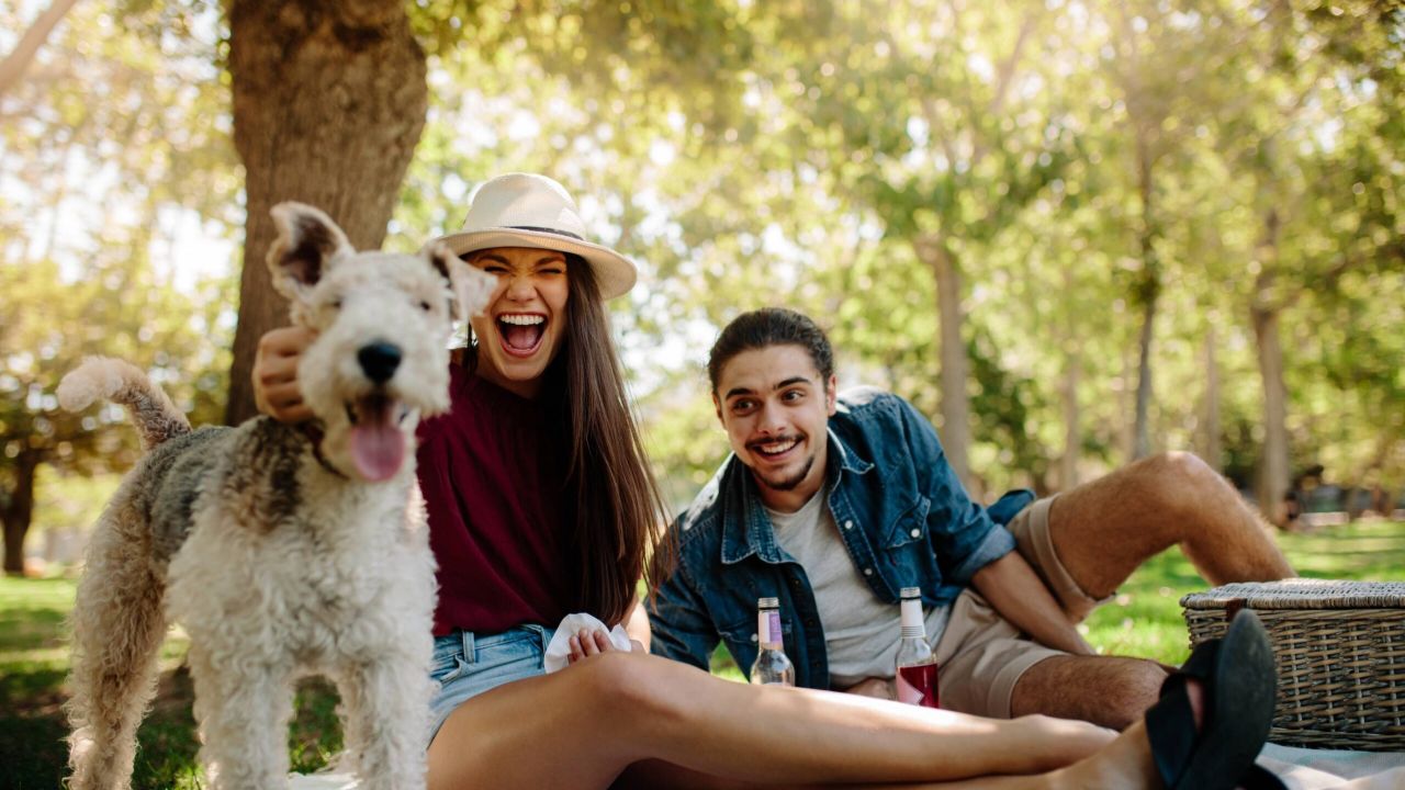 Smiling young couple on picnic at park with their pet dog. Laughing woman caresses a dog with man sitting by in the park.